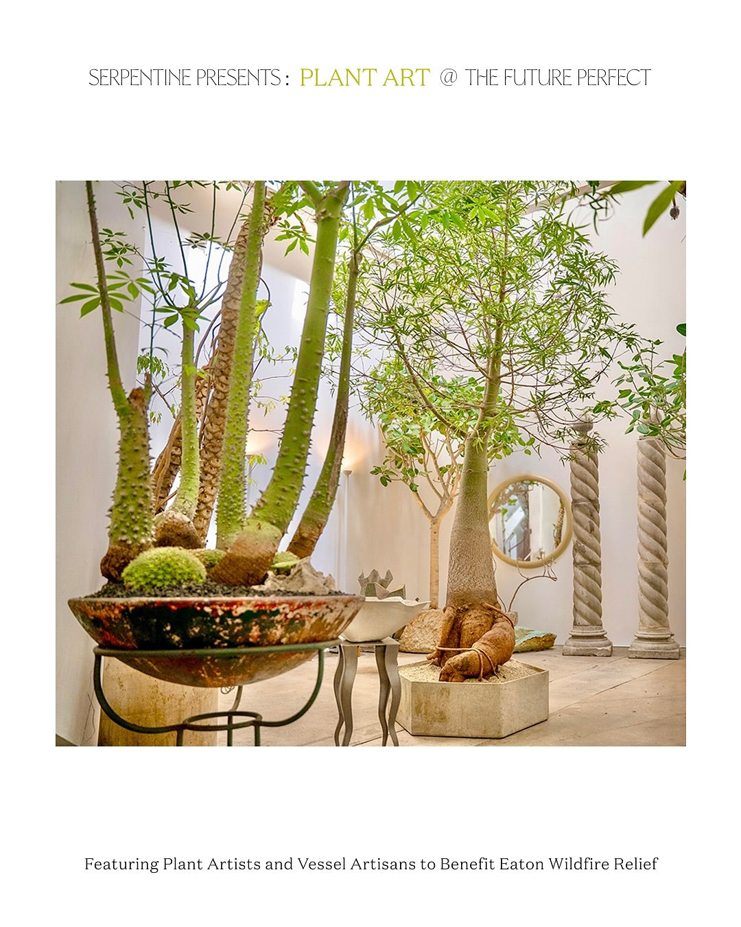 Plant Art @ Future Perfect