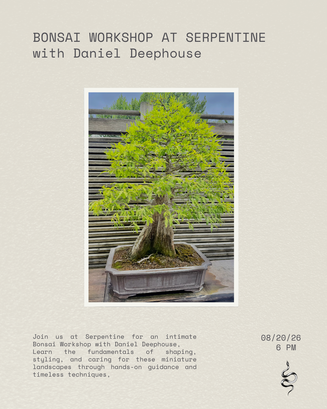 Bonsai Workshop with Daniel Deephouse