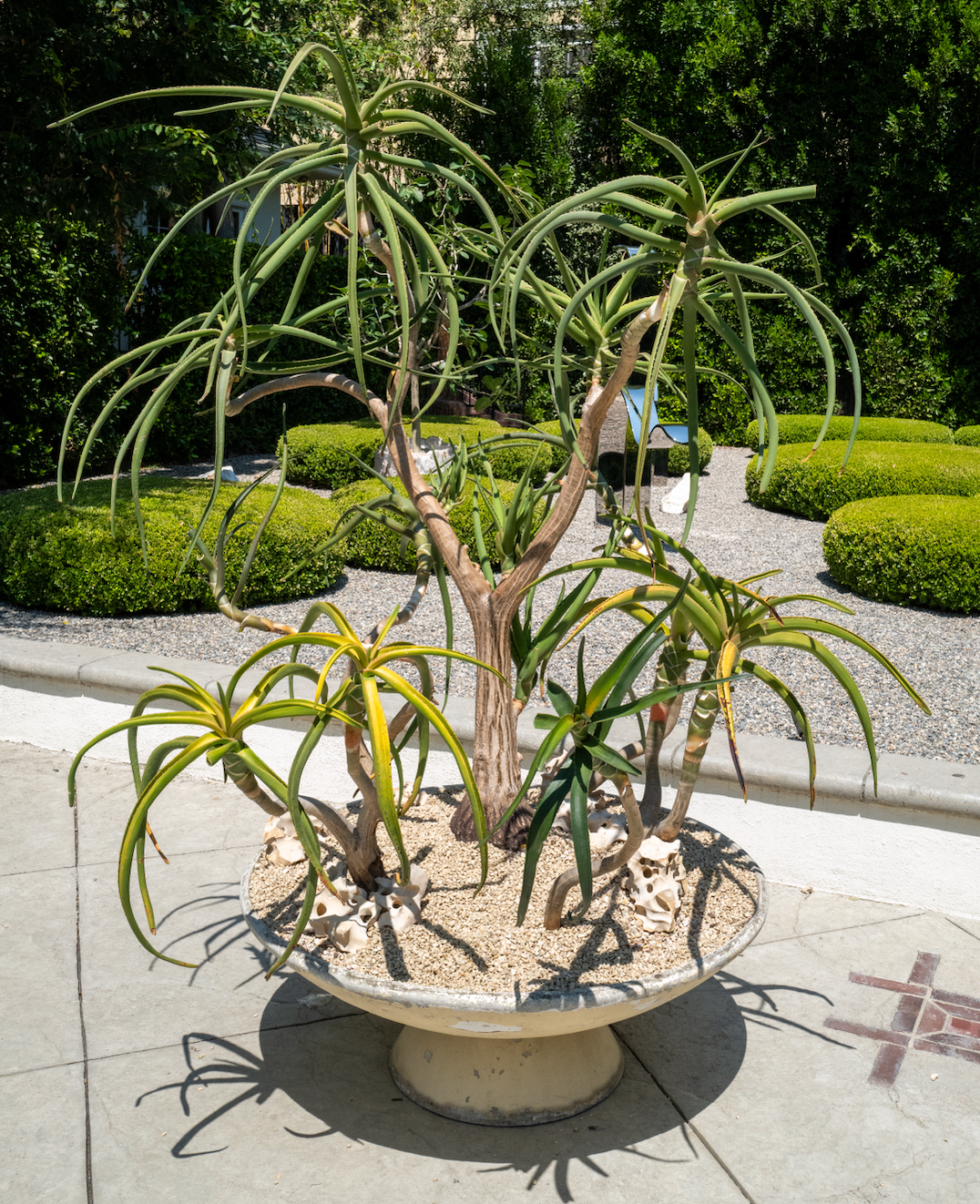 Plant Art @ Future Perfect