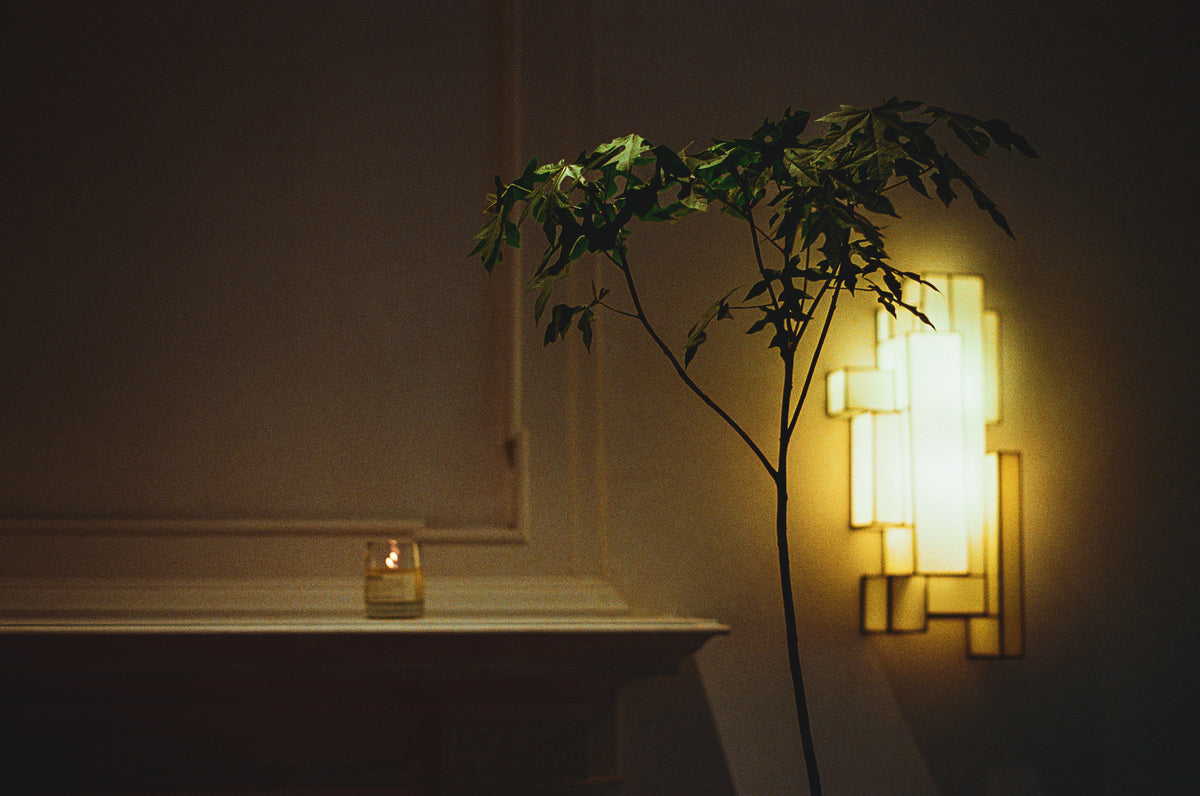 Plant Art @ Future Perfect