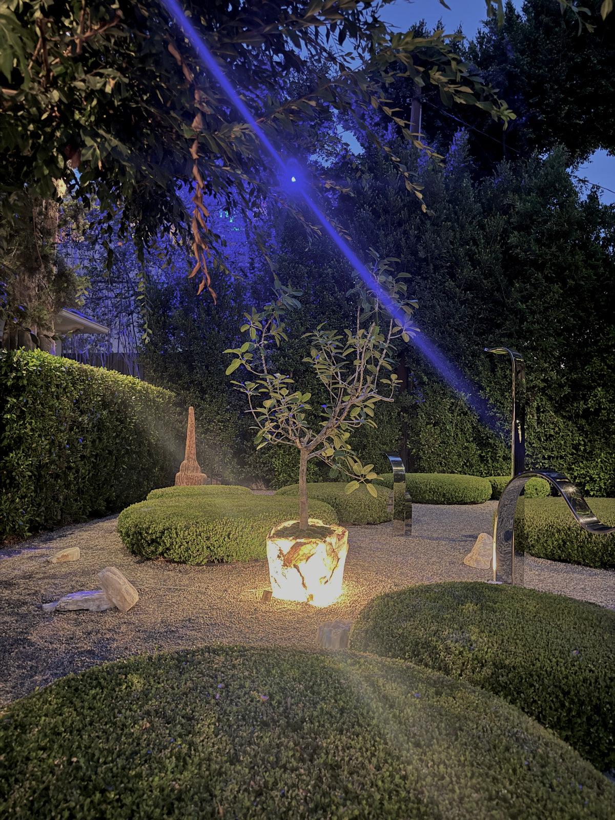 Plant Art @ Future Perfect