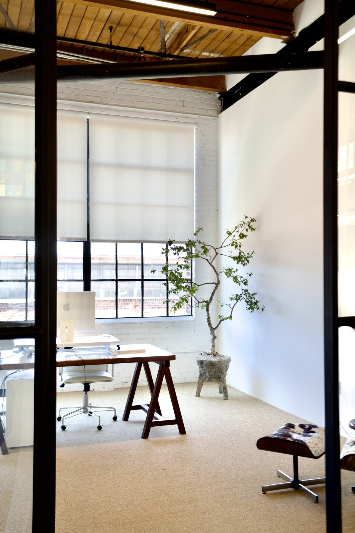 portfolio-in-dsc01030