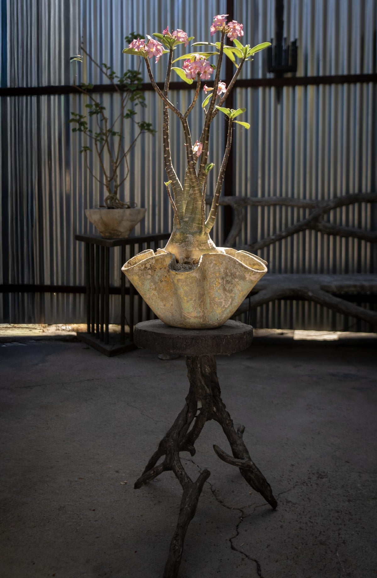 portfolio-pd-dsc01822