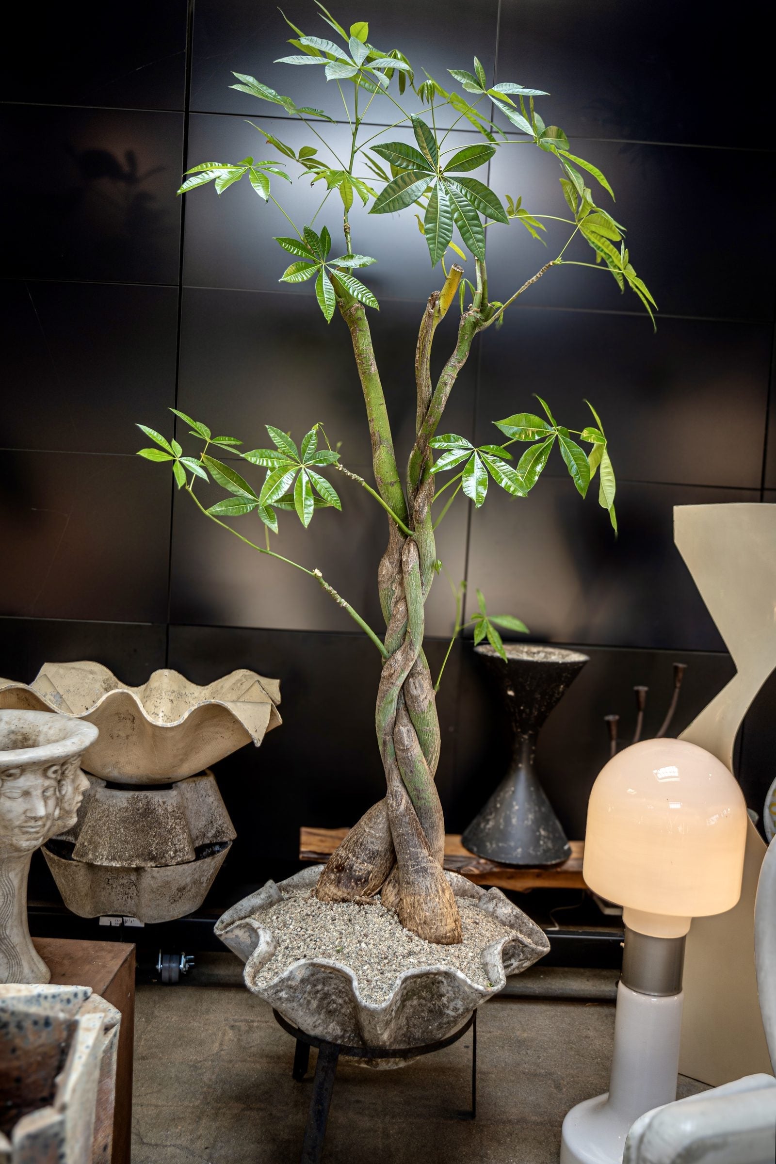 portfolio-pd-dsc02472