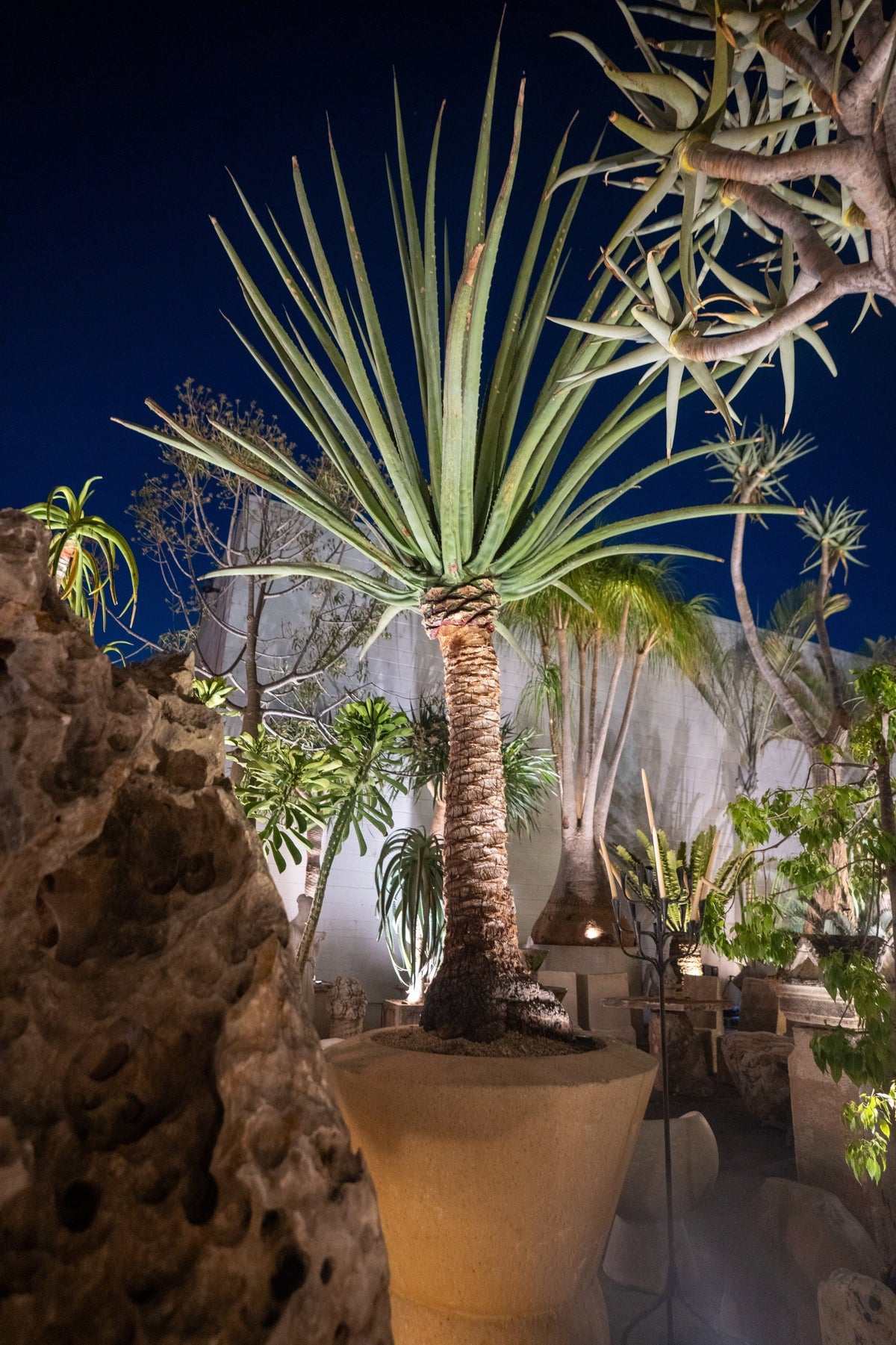 portfolio-pd-dsc02604