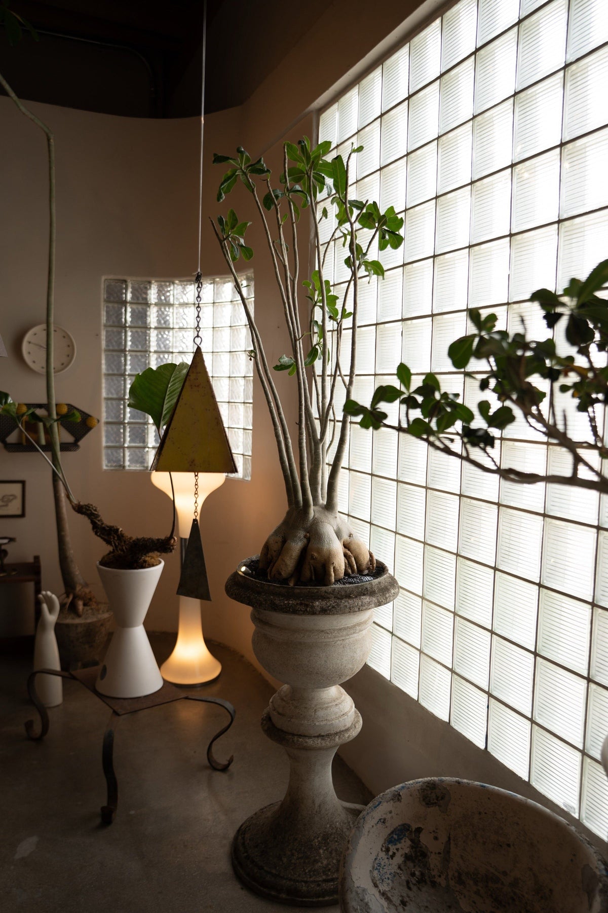 portfolio-pd-dsc02616
