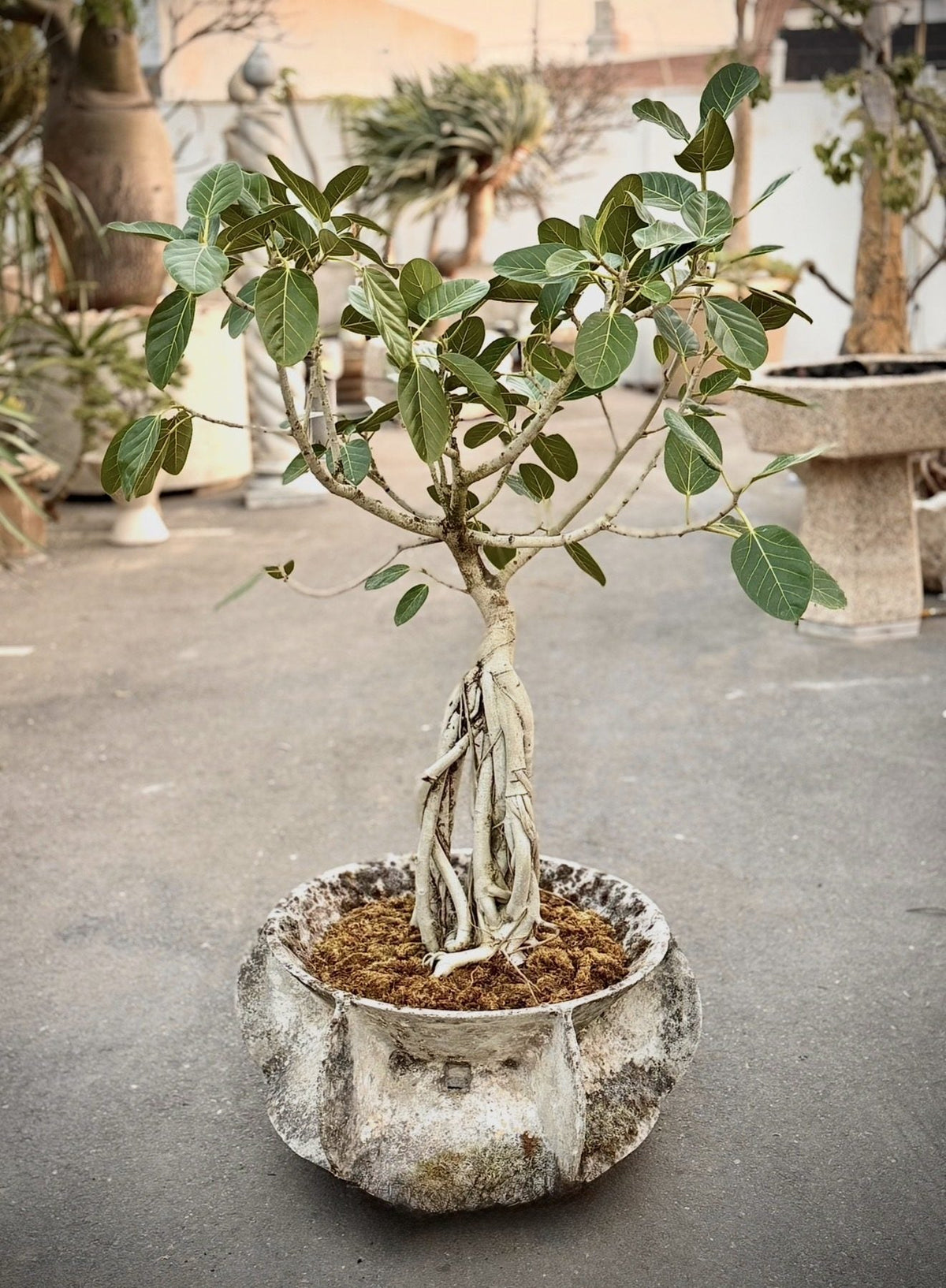 portfolio-pd-img-6112