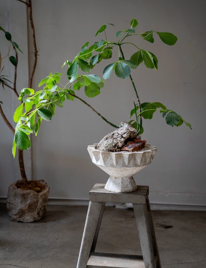 portfolio-pd-screenshot-2026-08-03-at-3-36-02-pm